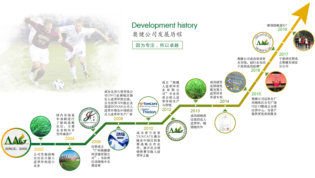奥健人造草坪发展历程